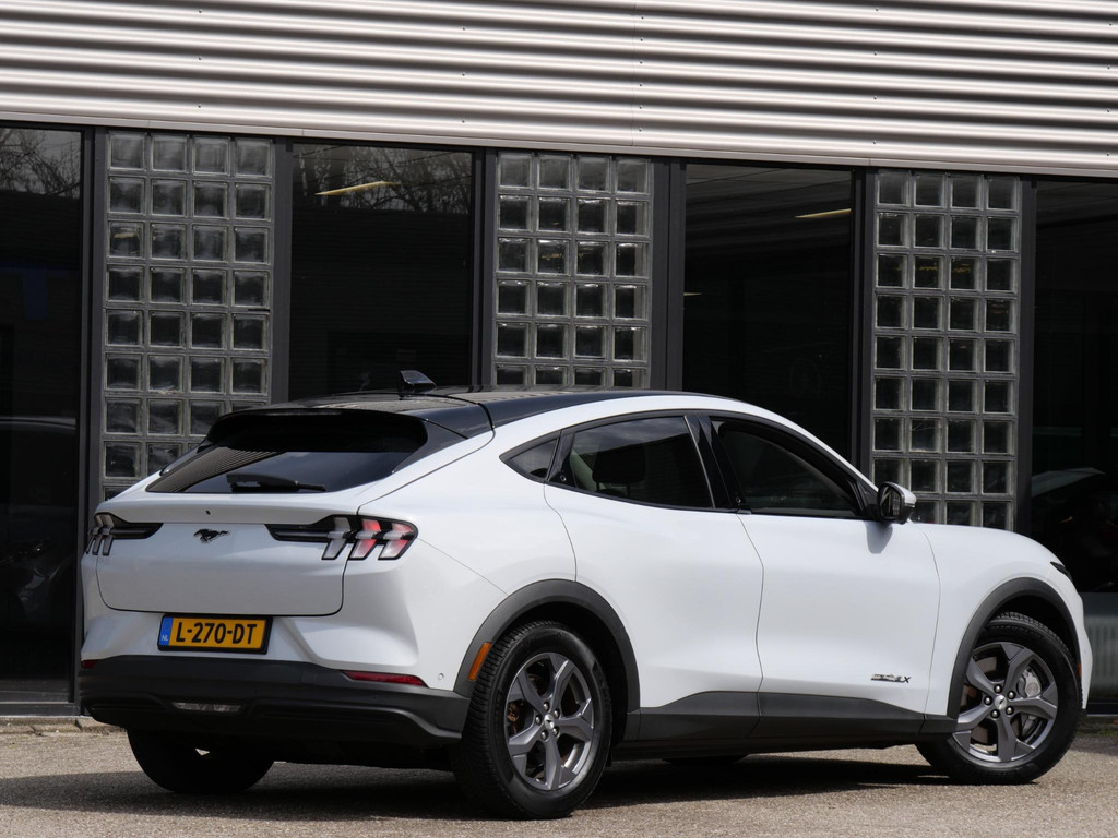 52908754-1.jpg